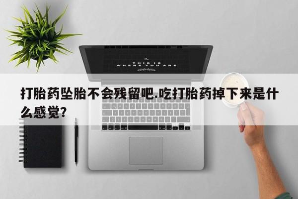 堕胎药网上购买打胎药坠胎不会残留吧.吃打胎药掉下来是什么感觉？