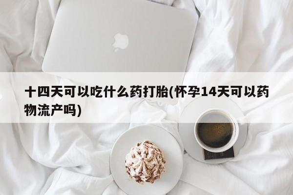 堕胎药网上购买十四天可以吃什么药打胎(怀孕14天可以药物流产吗)