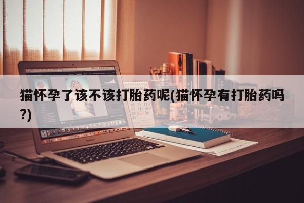 堕胎药网上购买猫怀孕了该不该打胎药呢(猫怀孕有打胎药吗?)